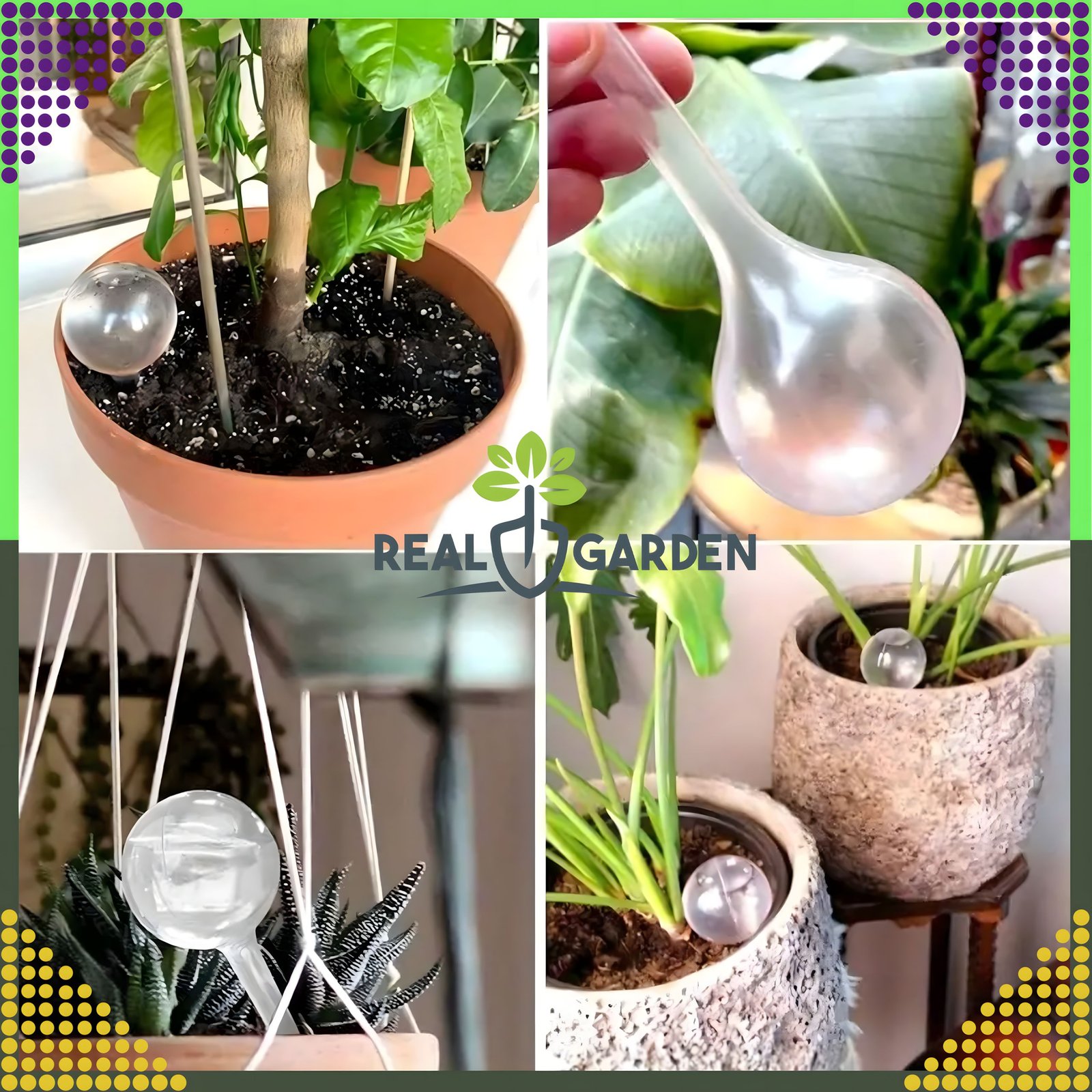 a53bda50058392a90e4be273c0642a6c