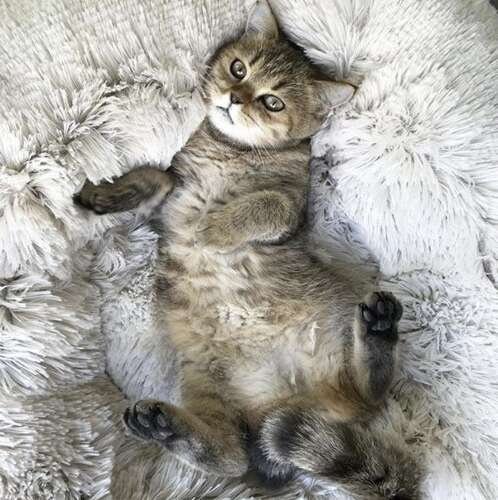 b293c5ba347d4b141d014af9fe6ea56d